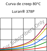 Curva de creep 80°C, Luran® 378P, SAN, INEOS Styrolution