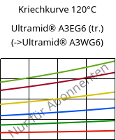 Kriechkurve 120°C, Ultramid® A3EG6 (trocken), PA66-GF30, BASF