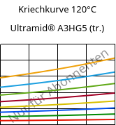 Kriechkurve 120°C, Ultramid® A3HG5 (trocken), PA66-GF25, BASF