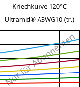 Kriechkurve 120°C, Ultramid® A3WG10 (trocken), PA66-GF50, BASF