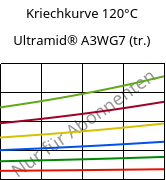 Kriechkurve 120°C, Ultramid® A3WG7 (trocken), PA66-GF35, BASF