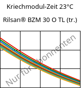Kriechmodul-Zeit 23°C, Rilsan® BZM 30 O TL (trocken), PA11-GF30, ARKEMA