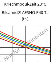 Kriechmodul-Zeit 23°C, Rilsamid® AESNO P40 TL (trocken), PA12, ARKEMA