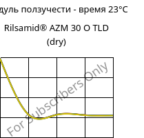 Модуль ползучести - время 23°C, Rilsamid® AZM 30 O TLD (сухой), PA12-GF30, ARKEMA