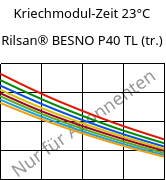 Kriechmodul-Zeit 23°C, Rilsan® BESNO P40 TL (trocken), PA11, ARKEMA