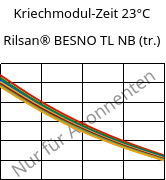 Kriechmodul-Zeit 23°C, Rilsan® BESNO TL NB (trocken), PA11, ARKEMA