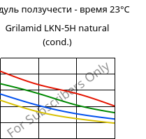 Модуль ползучести - время 23°C, Grilamid LKN-5H natural (усл.), PA12-GB30, EMS-GRIVORY