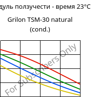 Модуль ползучести - время 23°C, Grilon TSM-30 natural (усл.), PA666-MD30, EMS-GRIVORY