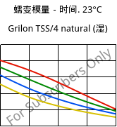 蠕变模量－时间. 23°C, Grilon TSS/4 natural (状况), PA666, EMS-GRIVORY