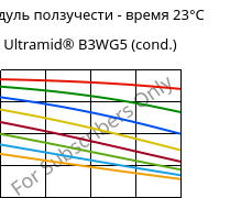 Модуль ползучести - время 23°C, Ultramid® B3WG5 (усл.), PA6-GF25, BASF