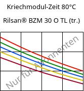 Kriechmodul-Zeit 80°C, Rilsan® BZM 30 O TL (trocken), PA11-GF30, ARKEMA