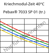 Kriechmodul-Zeit 40°C, Pebax® 7033 SP 01 (trocken), TPA, ARKEMA