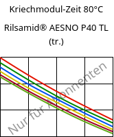 Kriechmodul-Zeit 80°C, Rilsamid® AESNO P40 TL (trocken), PA12, ARKEMA