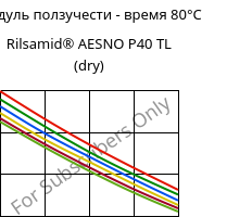 Модуль ползучести - время 80°C, Rilsamid® AESNO P40 TL (сухой), PA12, ARKEMA