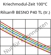 Kriechmodul-Zeit 100°C, Rilsan® BESNO P40 TL (trocken), PA11, ARKEMA