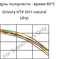 Модуль ползучести - время 80°C, Grivory HTV-5H1 natural (сухой), PA6T/6I-GF50, EMS-GRIVORY