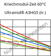 Kriechmodul-Zeit 60°C, Ultramid® A3HG5 (trocken), PA66-GF25, BASF