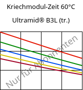 Kriechmodul-Zeit 60°C, Ultramid® B3L (trocken), PA6-I, BASF