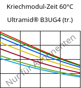 Kriechmodul-Zeit 60°C, Ultramid® B3UG4 (trocken), PA6-GF20 FR(30), BASF