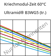 Kriechmodul-Zeit 60°C, Ultramid® B3WG5 (trocken), PA6-GF25, BASF